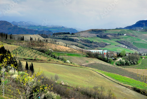 Konstfotografi Vineyards near Imola Italy