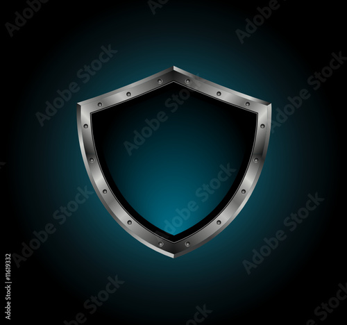 metal shield with bolts
