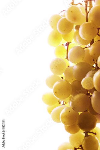 Grape in high light mode