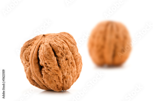 walnut