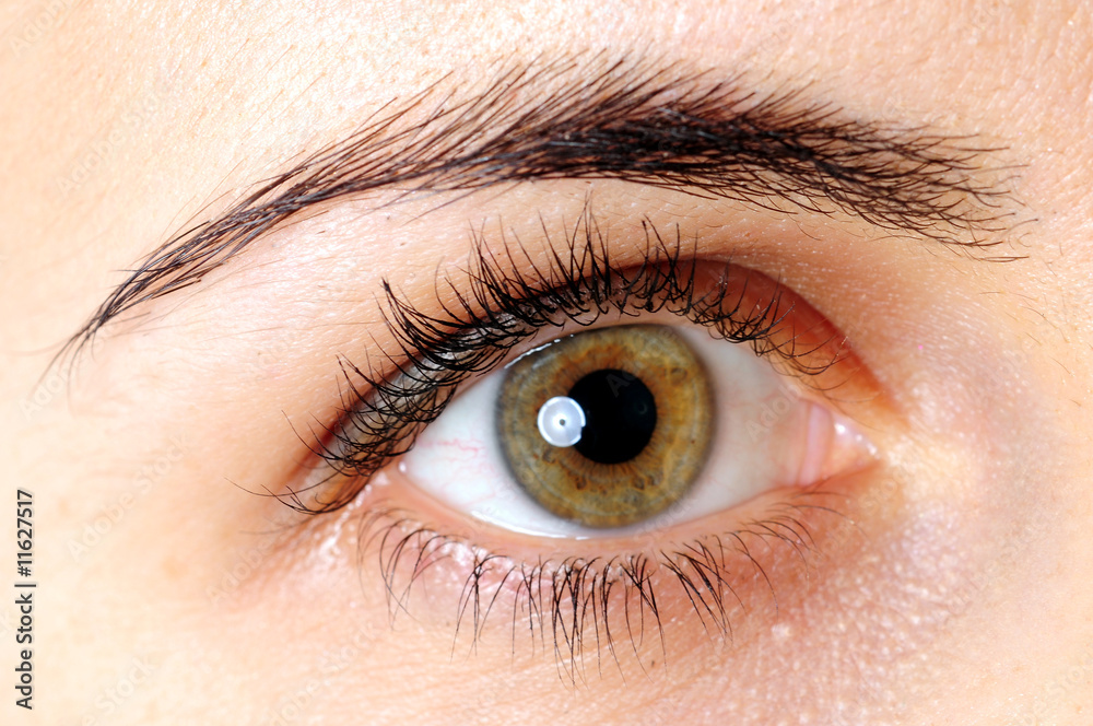 Fototapeta premium Eye