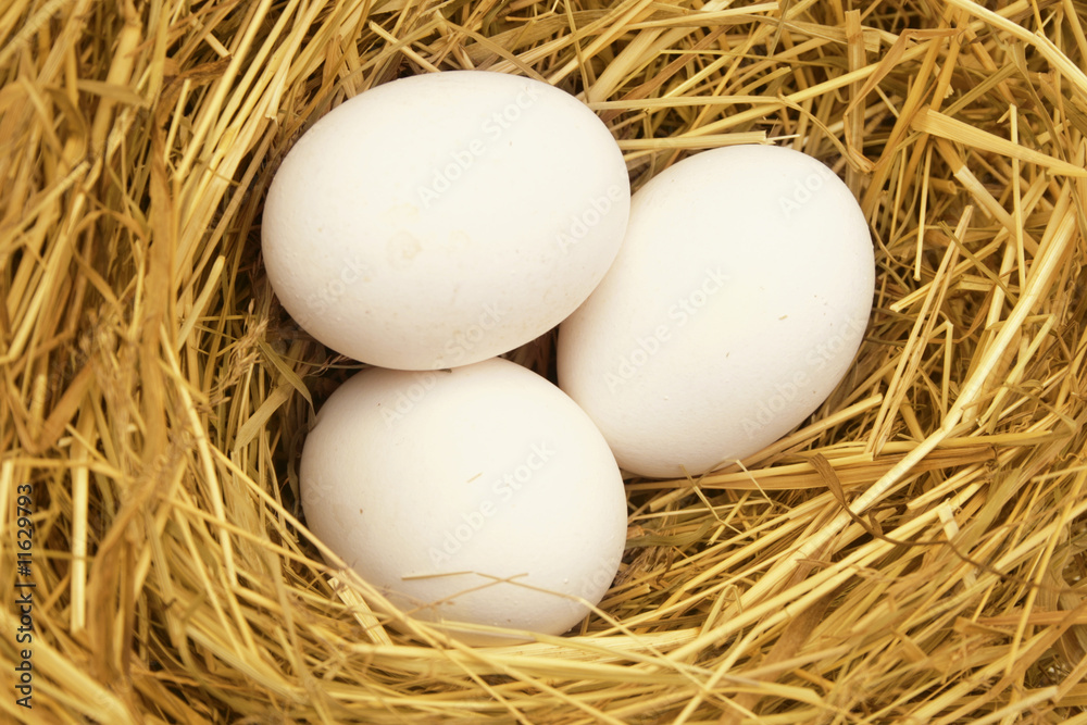 Three eggs in the nest. Three eggs in the nest.