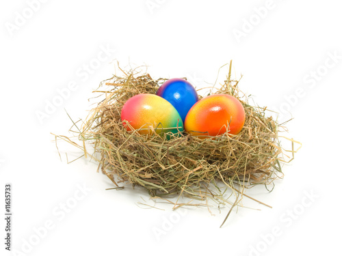 colored Easter eggs in the nest isolated