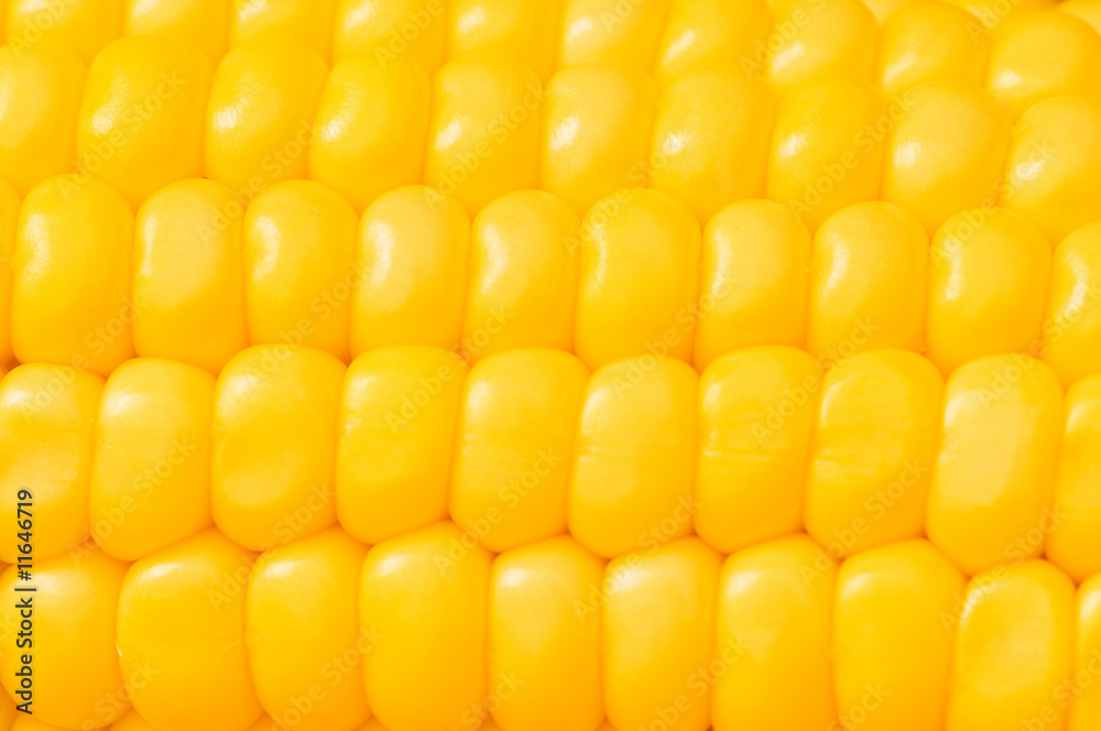 Extreme close up of yellow corn cobs Extreme close up of yellow corn cobs