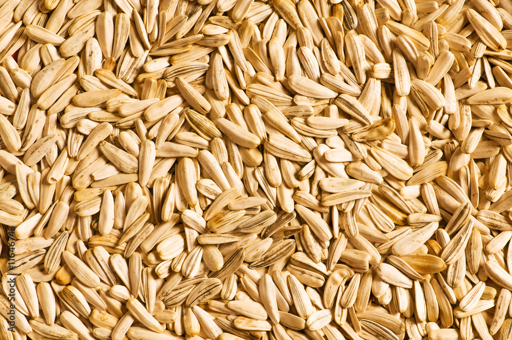 Lots of sunflower seeds arranged as background Lots of sunflower seeds arranged as background