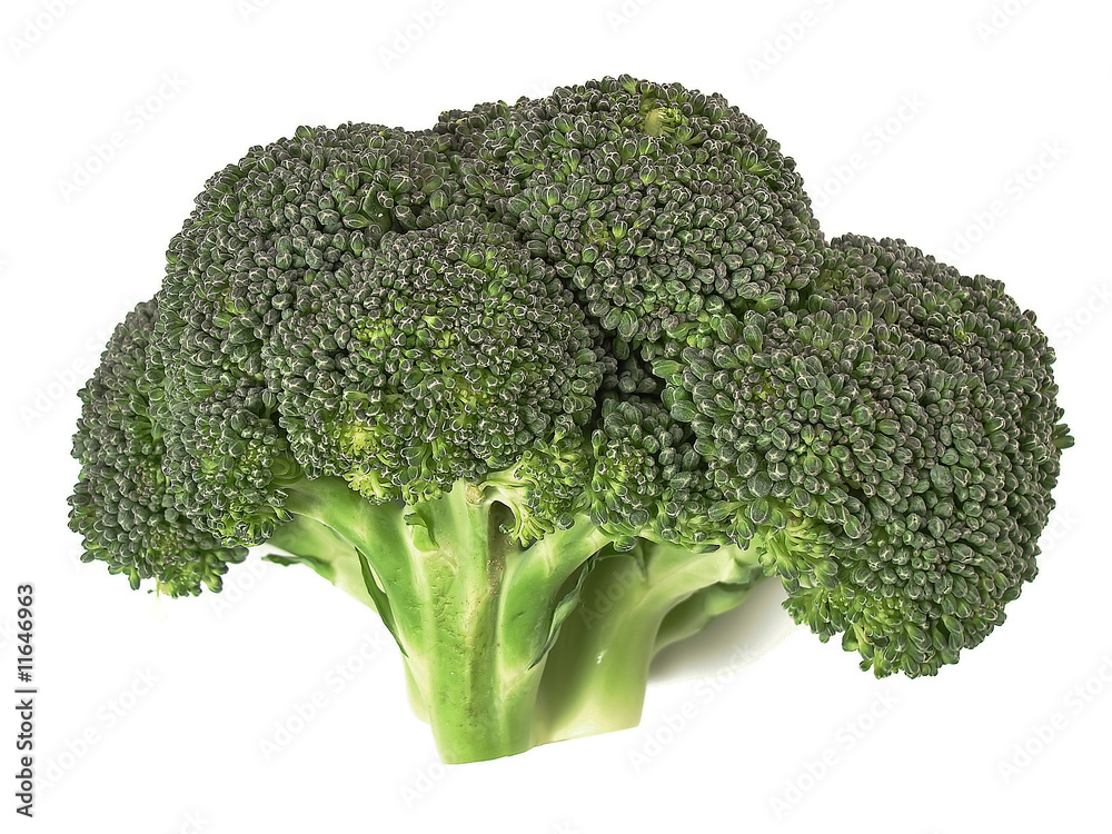 Broccoli on white.