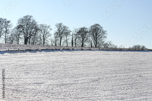 Wallpaper Mural Winterlandschaft Torontodigital.ca