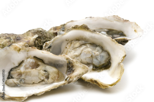 opened oysters on white background