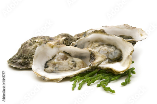 opened oysters on white background