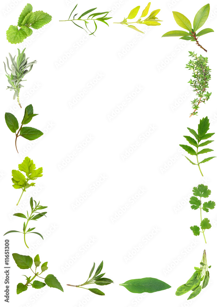 Herb Leaf Beauty