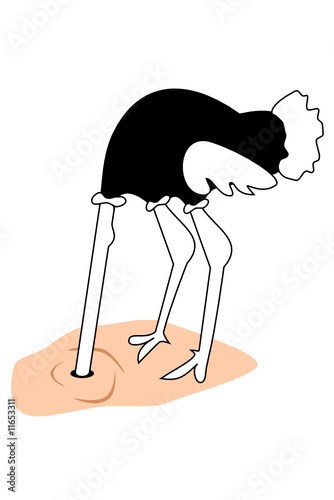 A ostrich with its head buried in the sand