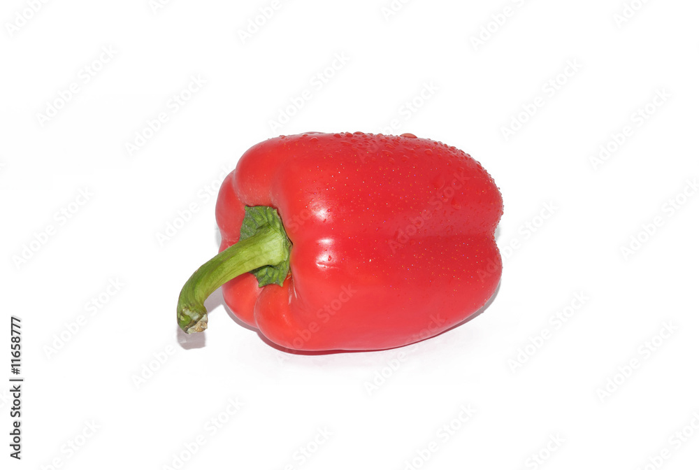 Rote Paprika Rote Paprika