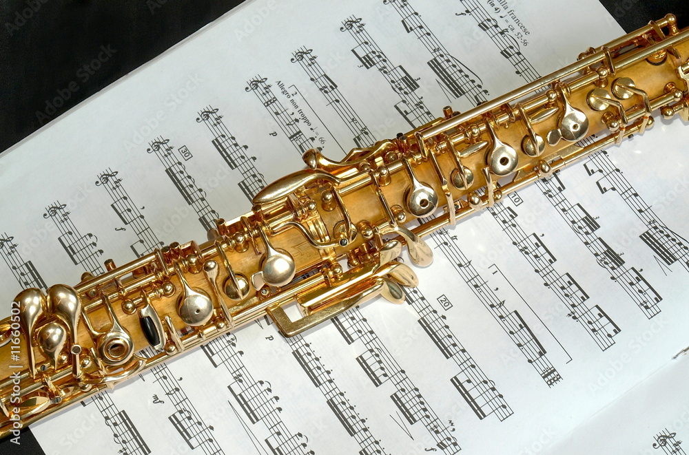 Obraz premium Oboe, Detail