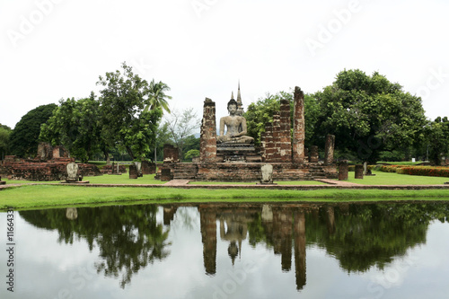 buddha reflections