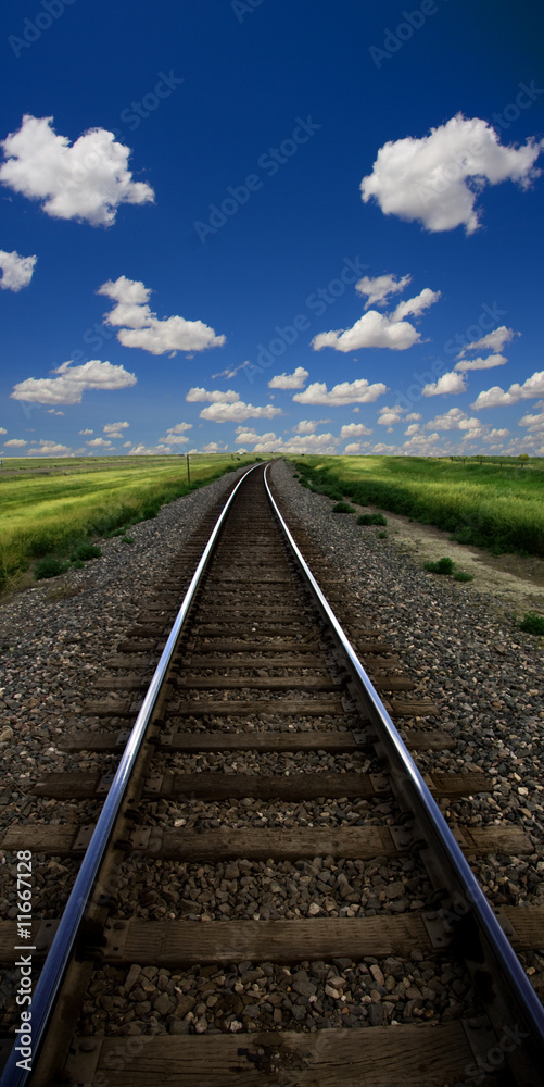 Fototapeta premium Landscape with train tracks