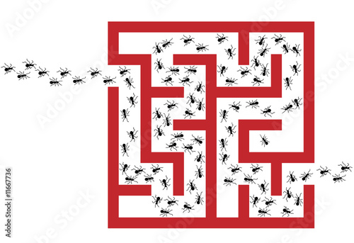 Ant Infestation Pest Problem Maze Puzzle
