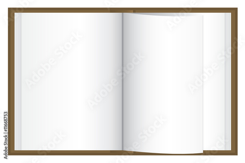 Blank book, ready for your text