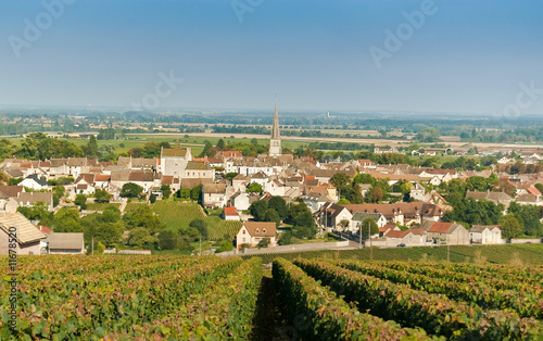 Meursault, village vigneron