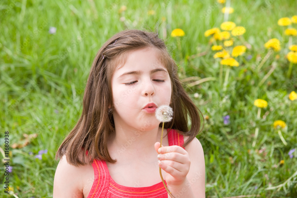 Little Girl Blowing Dandelion Seeds Little Girl Blowing Dandelion Seeds