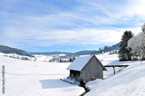 Schwarzwald im Schnee © R.-Andreas Klein
