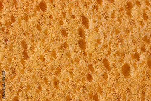 Spongie