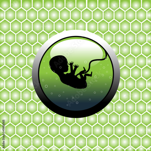 Abstract green womb with human embryo silhouette