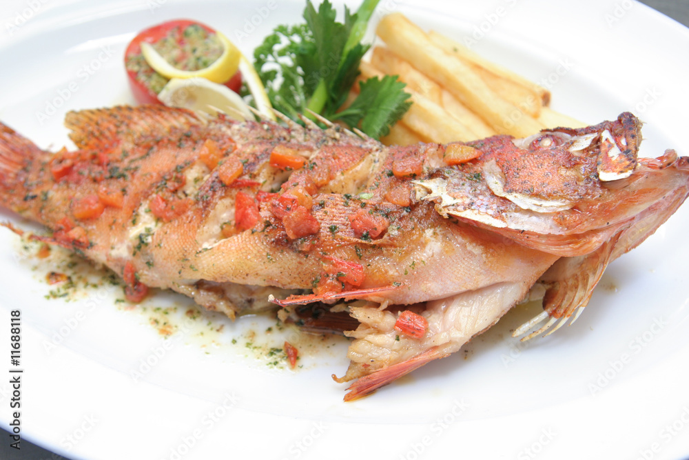 fried grouper fish fried grouper fish