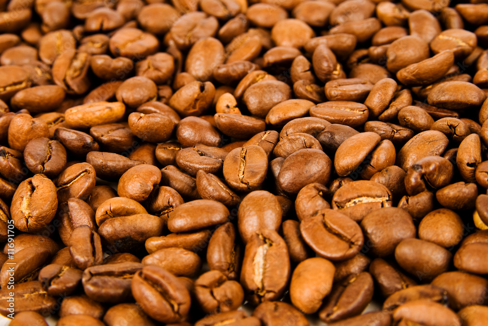 Close-up of coffee beans Close-up of coffee beans