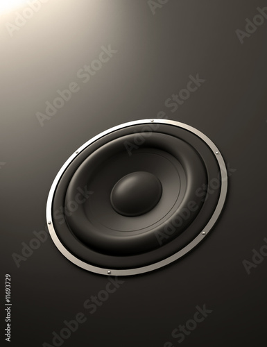 Speaker abstract