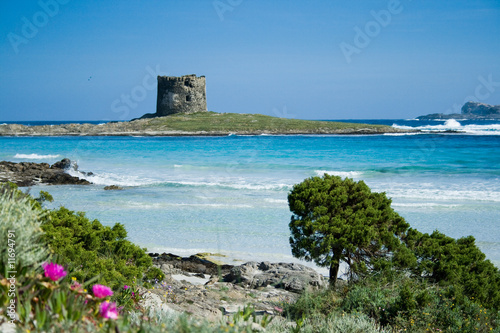 stintino torre della pelosa