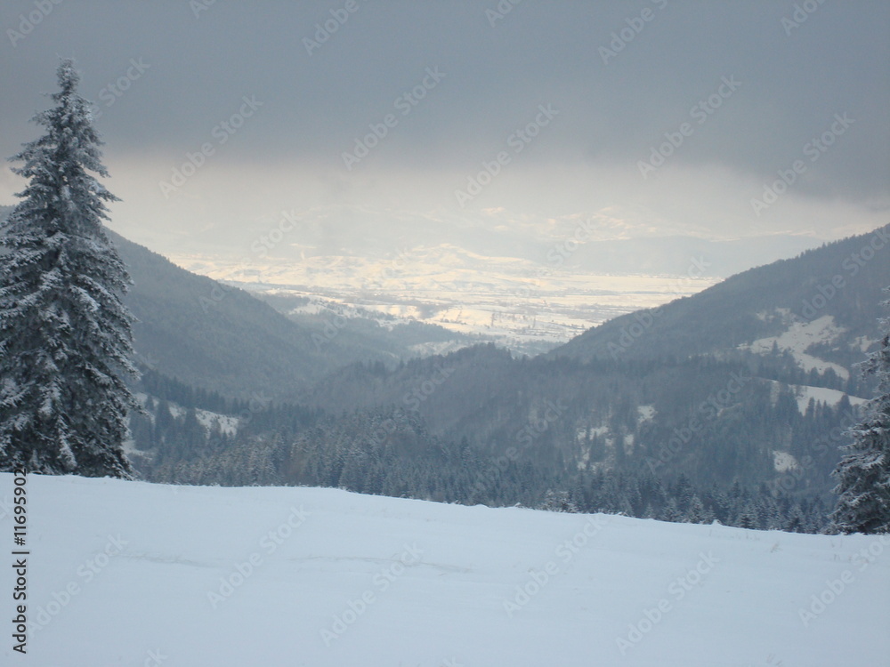 Obraz premium paesaggio invernale