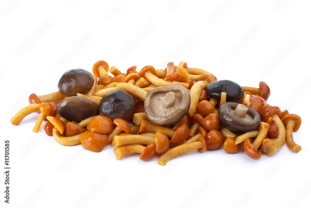 Fototapeta premium Some marinated honey agarics and black milk mushrooms
