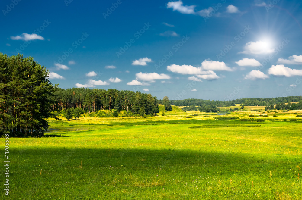 Naklejka premium rural landscape