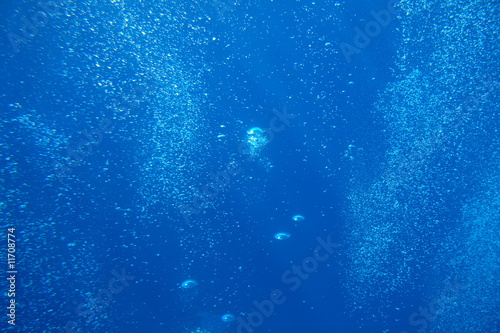 Unterwasserwelt mit Luftblasen © Georges Vacheresse