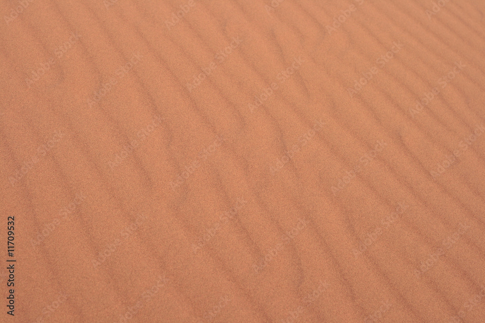 sable sable
