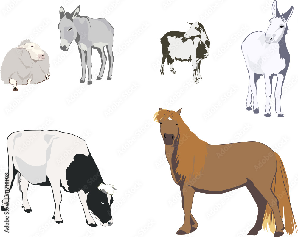 farm animals - collection for designers 2