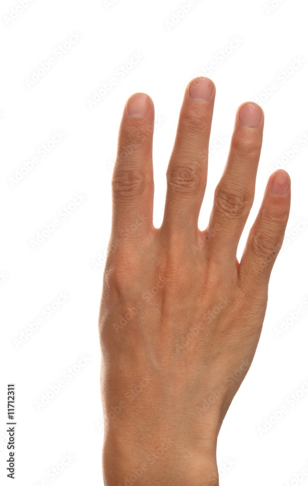 number 4 number 4