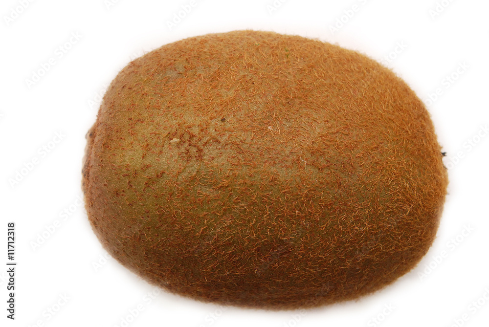 Fototapeta premium Isolated kiwi fruit on white background