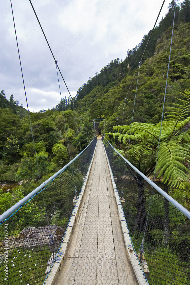Obraz premium Hängebrücke