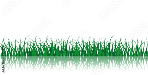 Vector Grass Illustration