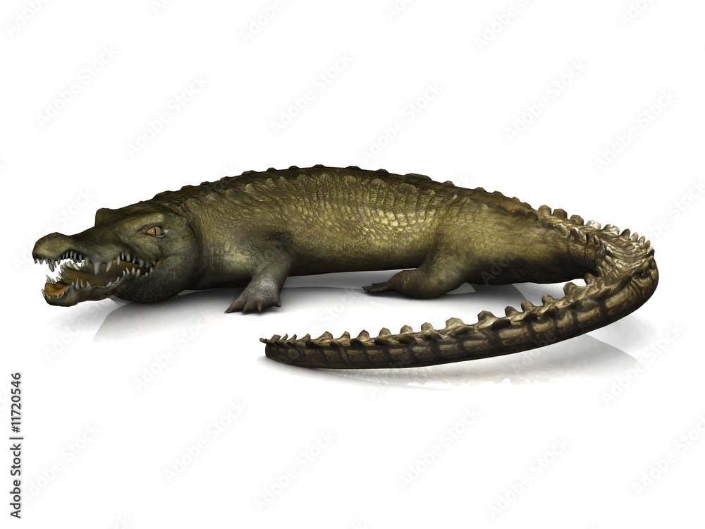 Fototapeta premium Big crocodile