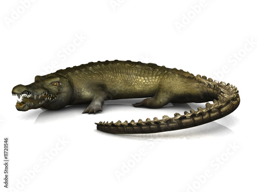 Big crocodile © Sarah Holmlund
