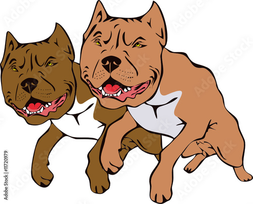 dogs illustration