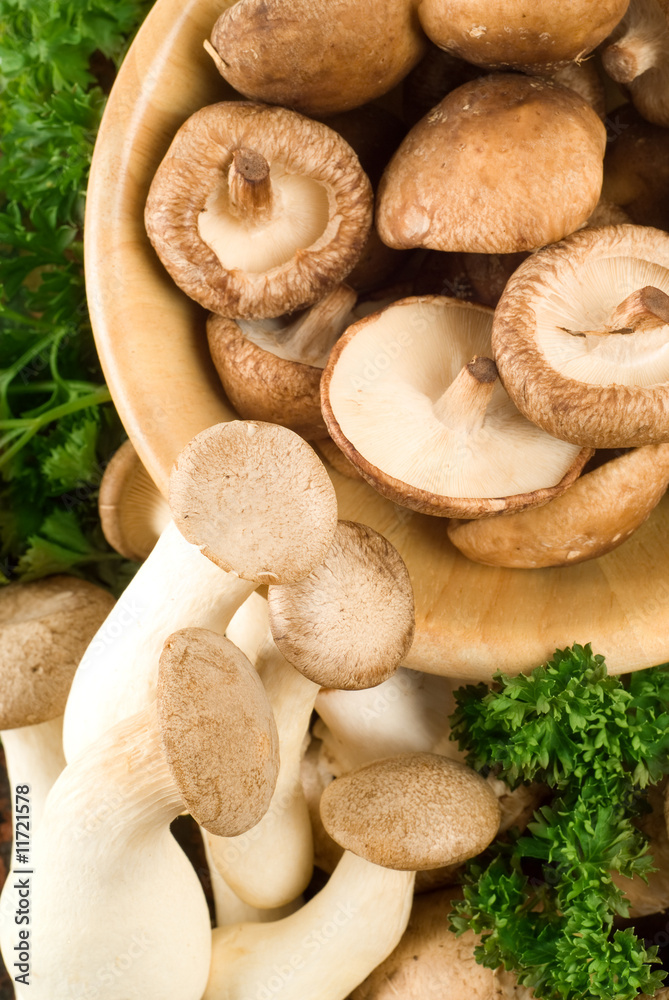 Assorted mushrooms Assorted mushrooms