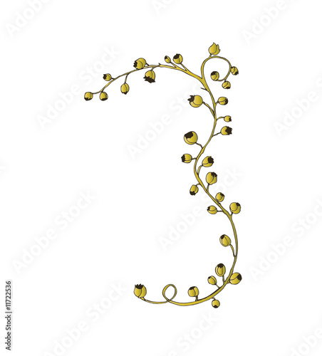 floral element -  vector