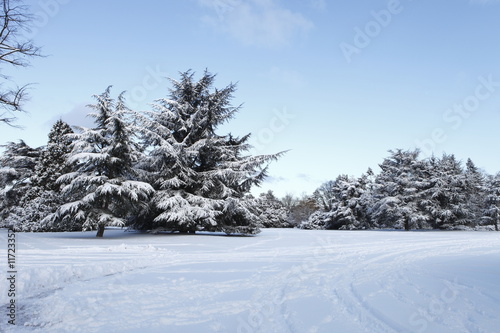 Winterlandschaft