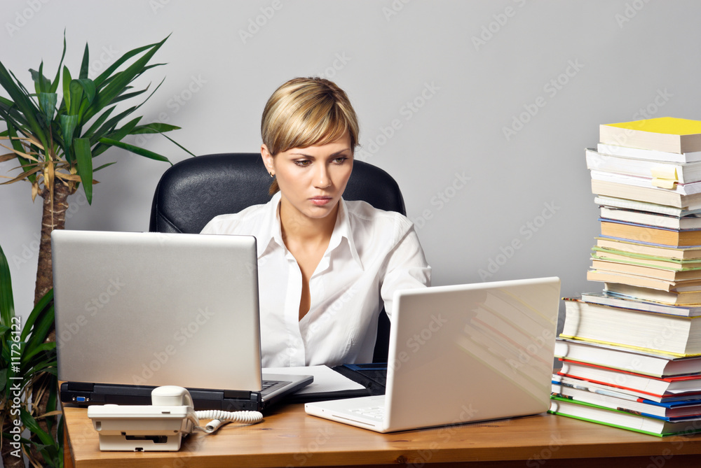 Beautiful Business Lady with Laptops Beautiful Business Lady with Laptops