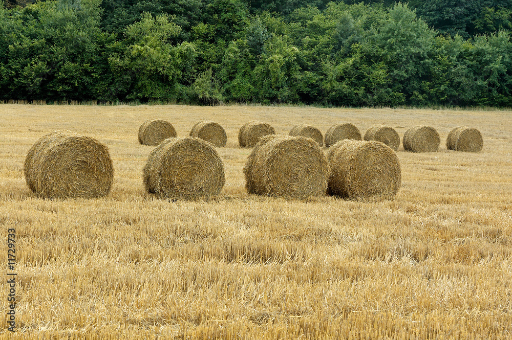 Straw bales