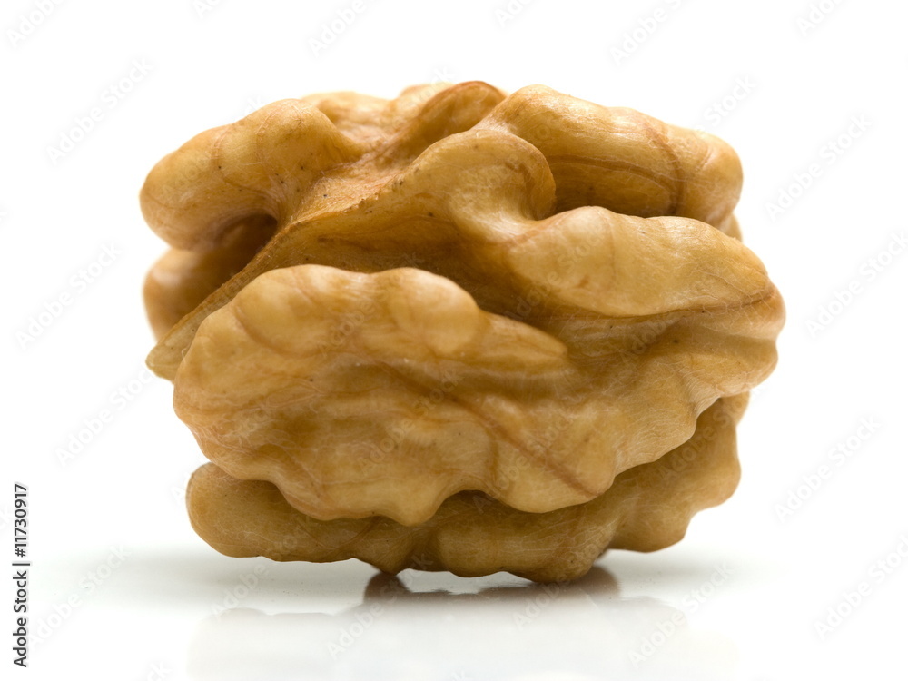 Nutsmeat Nutsmeat