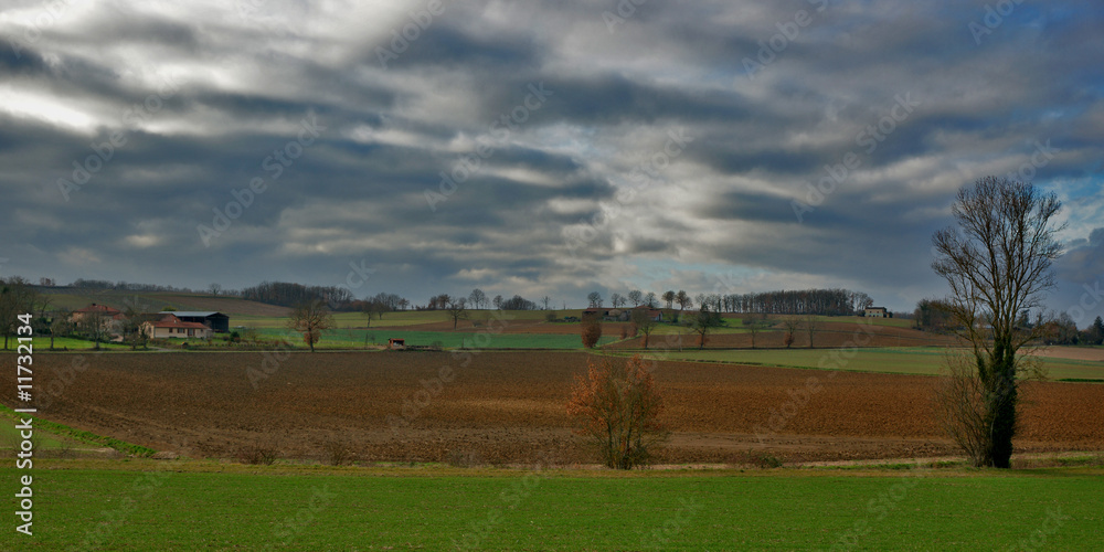 Obraz premium couleurs et nature